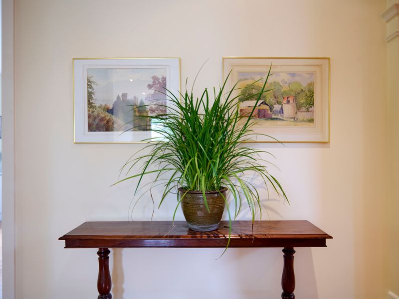 Styled with intention for a welcoming feel.