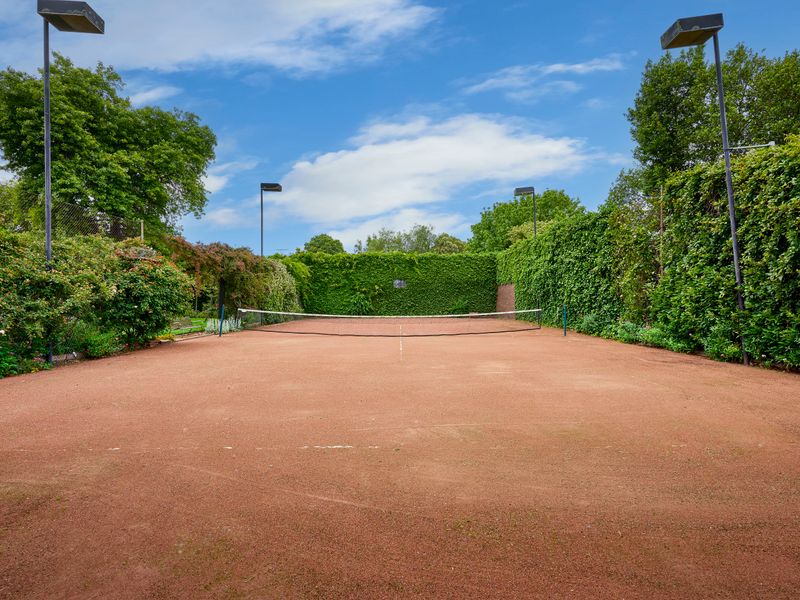 Bring your racquet and play a set