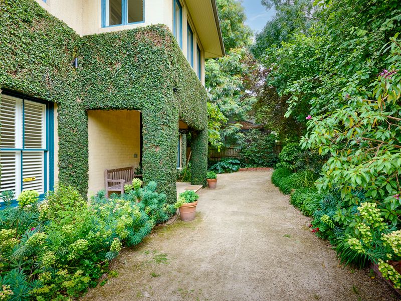 Shaded, peaceful, and full of charm