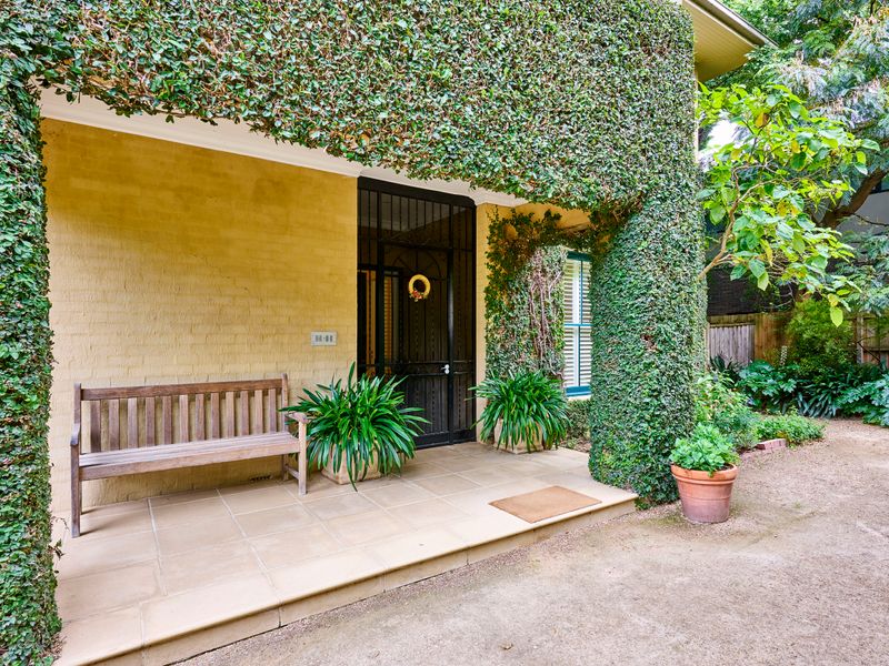 Your go-to spot for laid-back afternoons