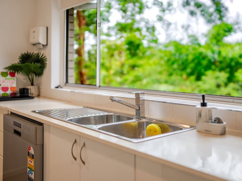 Sunlit sink area with tranquil treetop outlook