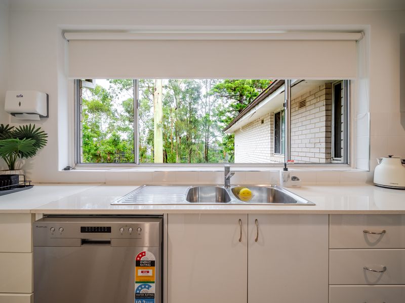Kitchen window overlooking peaceful greenery