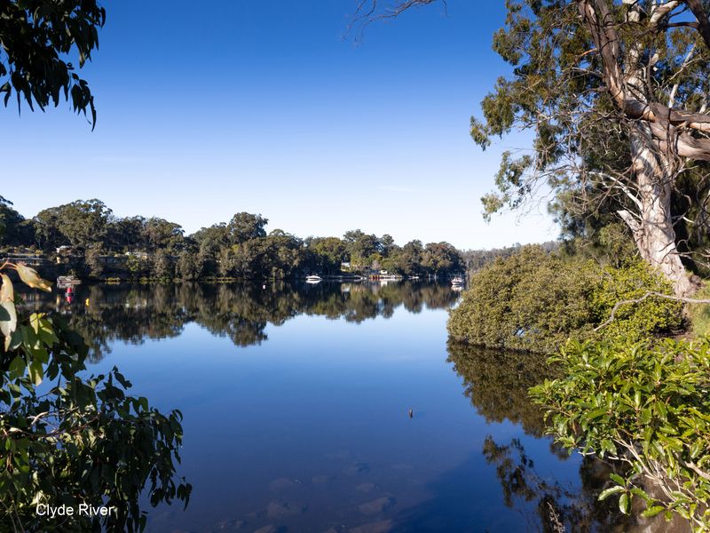 Calm river scenery framed by natural bushland