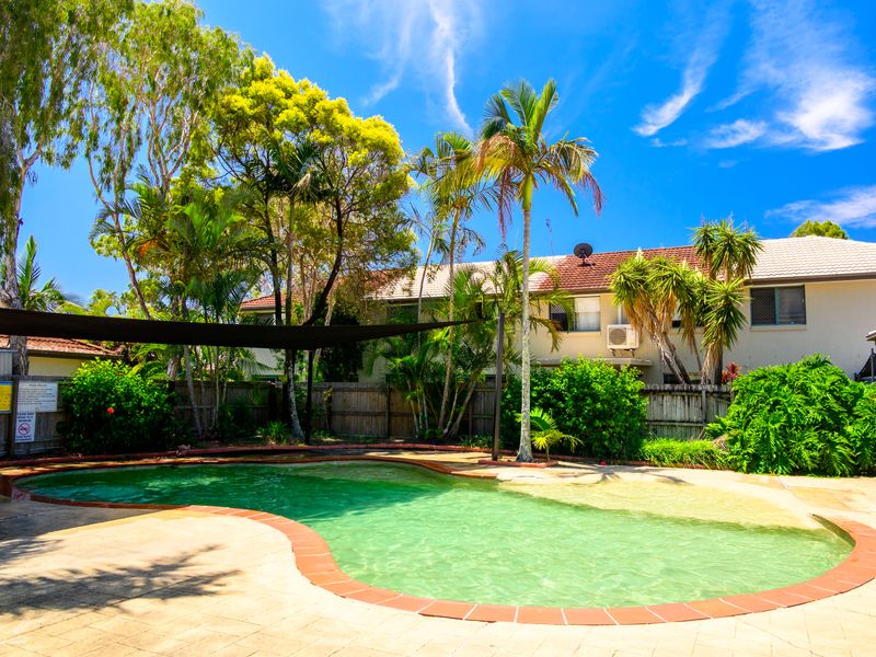 Shared tropical pool for warm Gold Coast days