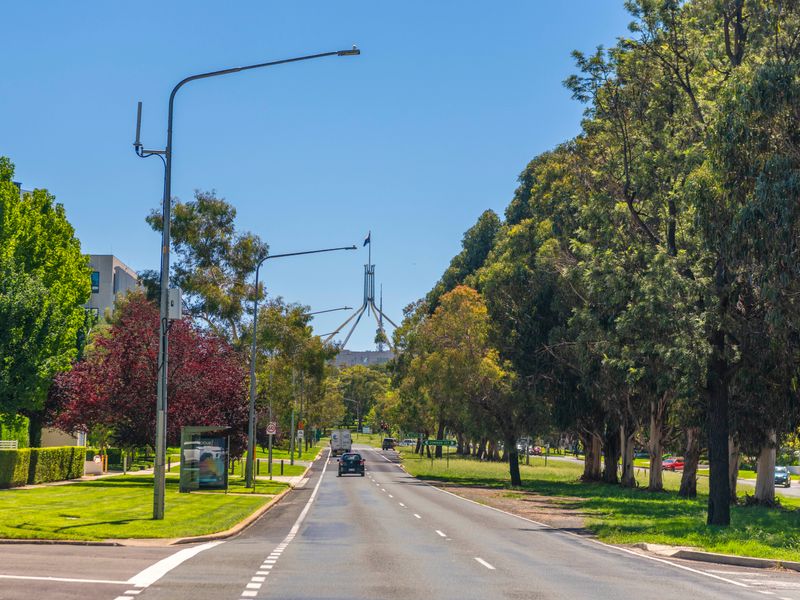 A vibrant sea of green serves as your living backdrop, guiding you into a state of pure holiday bliss from the moment you arrive