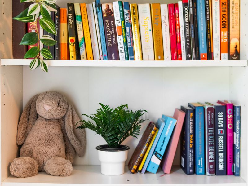 Reading nook with books, plants, and a cozy touch