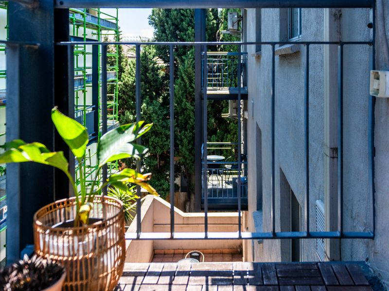 Plants bringing life and vibrancy throughout the home.