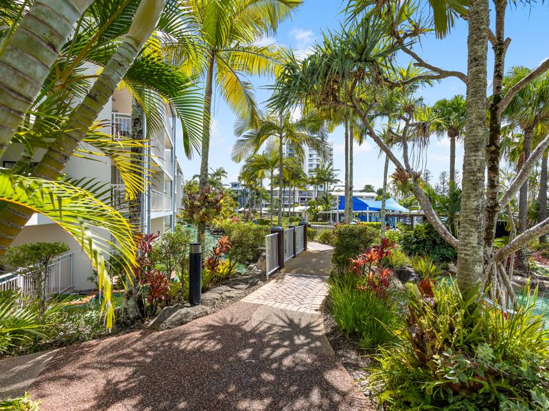 Resort walk ways with lush green scenary 