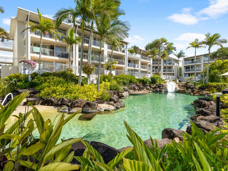 Resort-style communal pool surrounded by lush tropical gardens – perfect for a refreshing dip or relaxing afternoon in the sun.