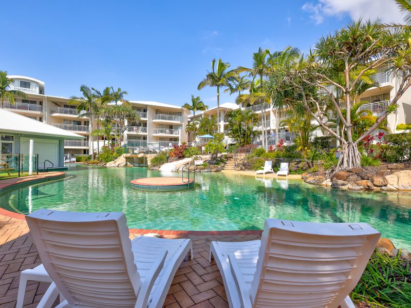 Resort-style communal pool surrounded by lush tropical gardens – perfect for a refreshing dip or relaxing afternoon in the sun.