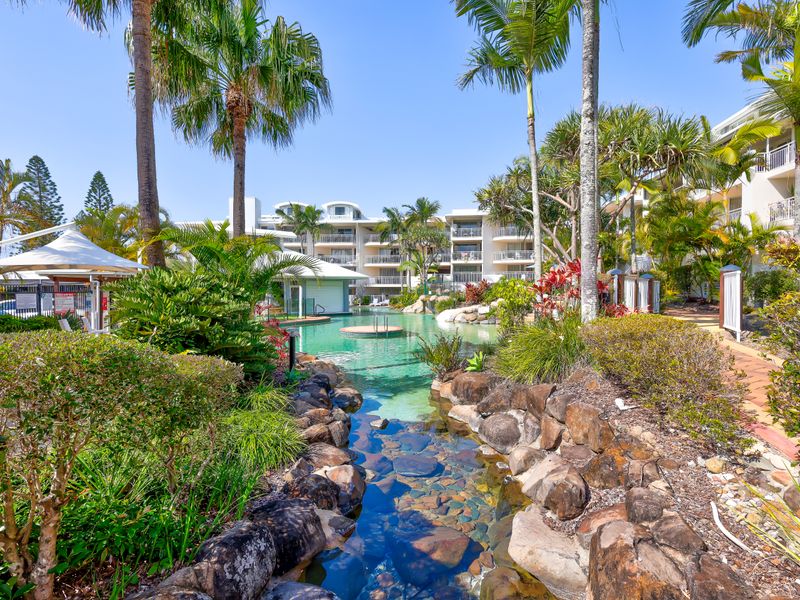 Resort-style communal pool surrounded by lush tropical gardens – perfect for a refreshing dip or relaxing afternoon in the sun.