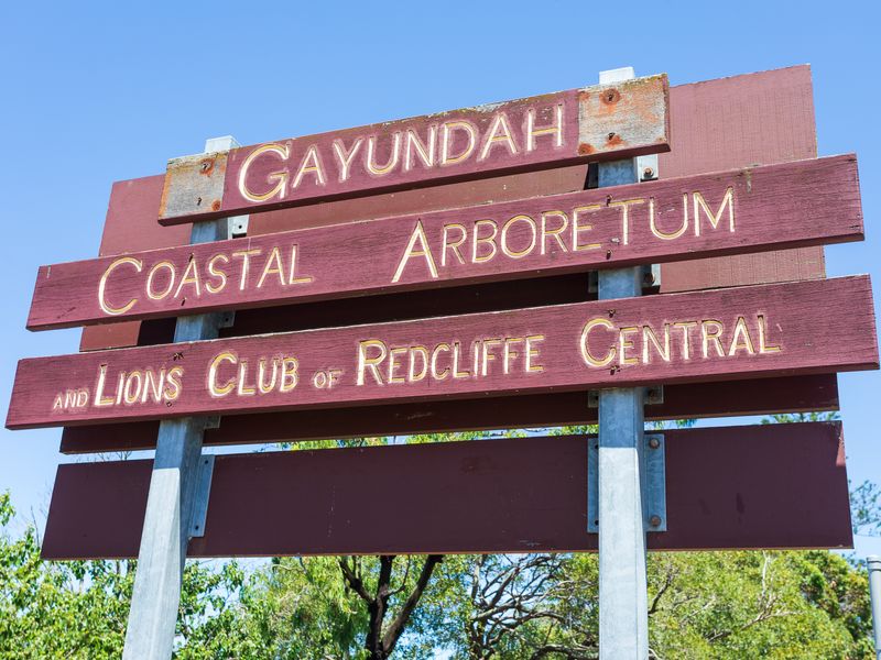 Take in stunning views across the Redcliffe Peninsula coastline.