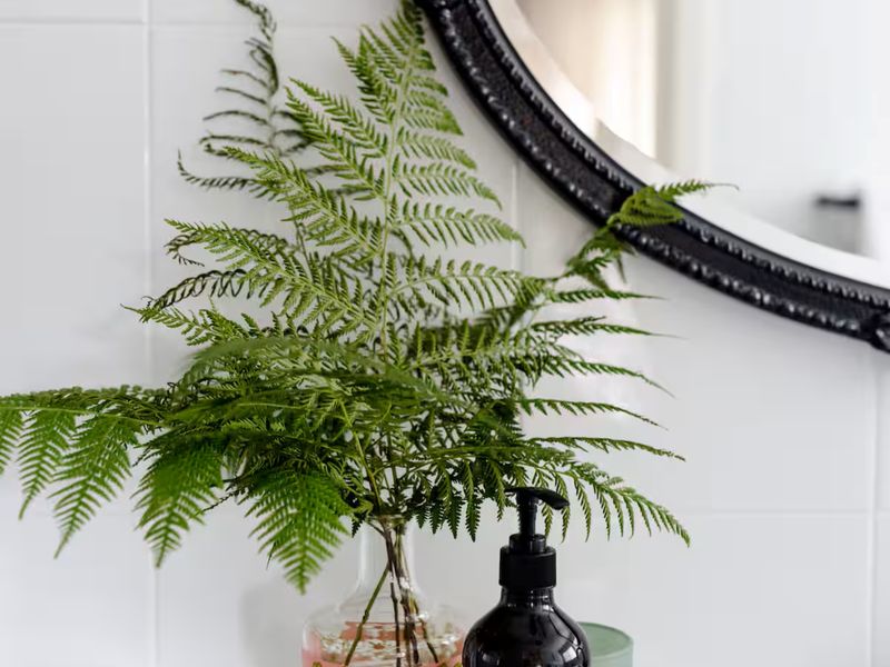 Indoor greenery adding a fresh, calming touch