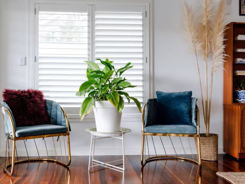 Bright sitting nook with stylish chairs and plenty of natural light.