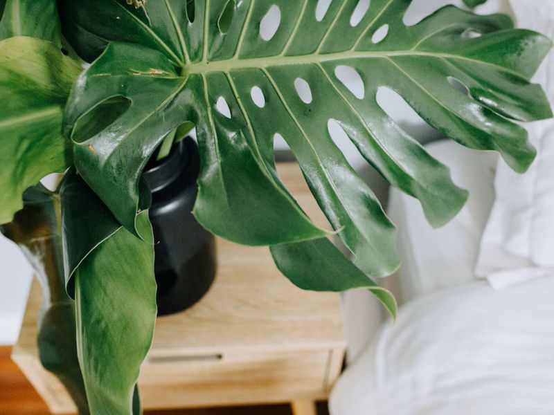 Earthy accents for a grounded stay