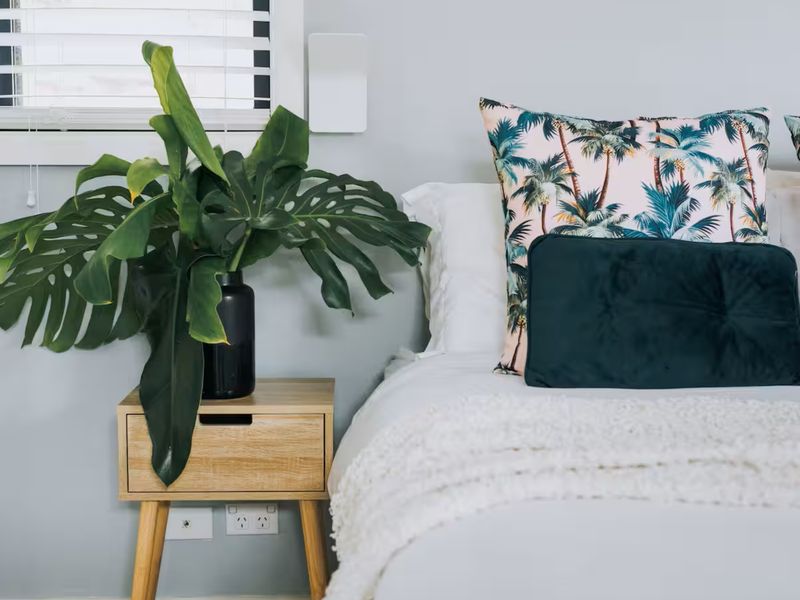 A dreamy hideaway