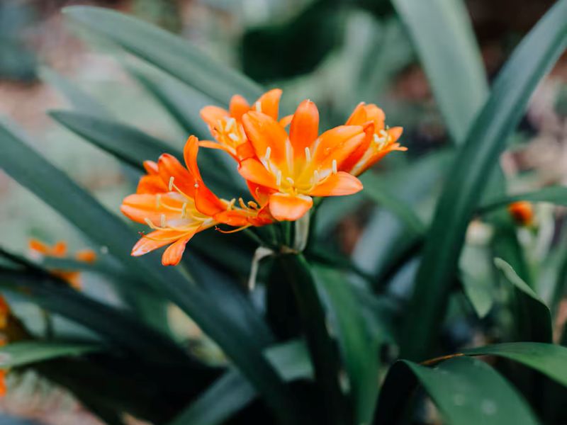 Nature’s palette welcoming you