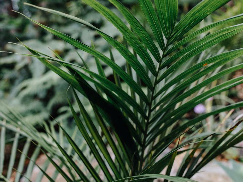 It’s the organic details that make it home