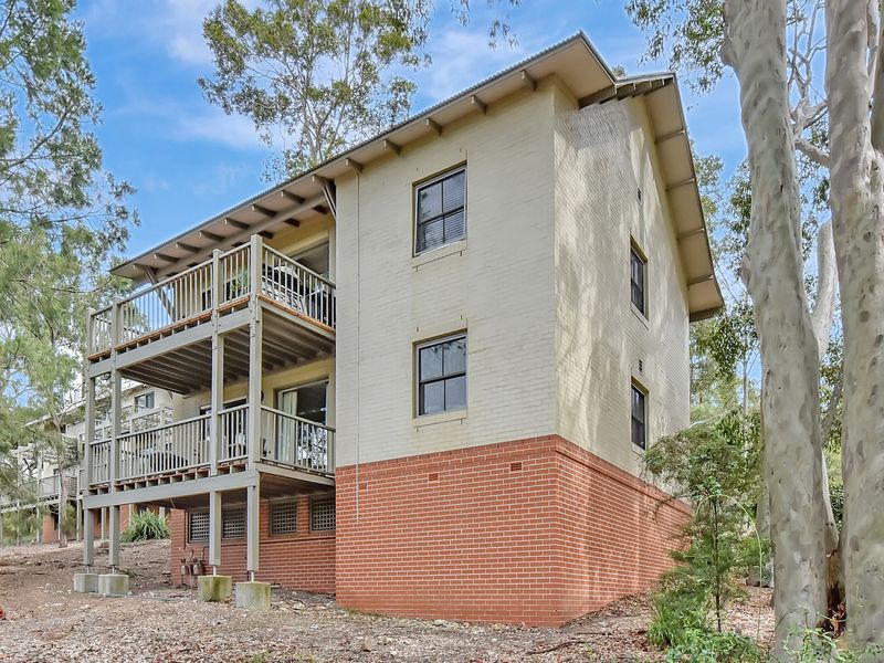 Serene bushland outlook from every angle