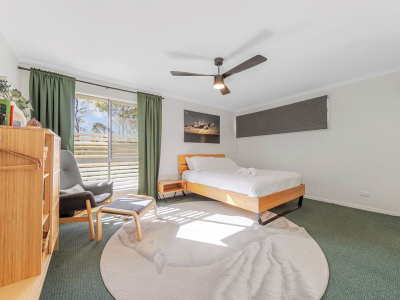 Bush to Beach Family & Fur Coastal Retreat