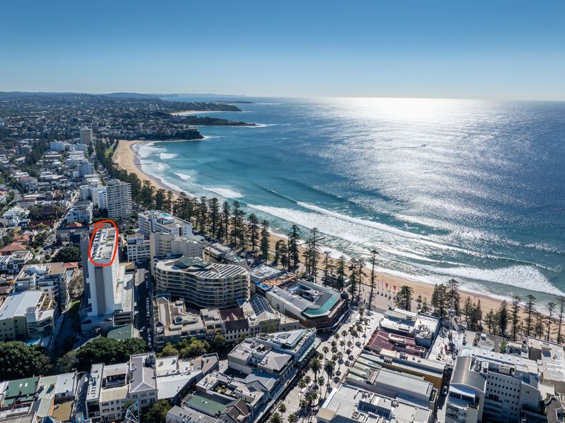 The best of Manly