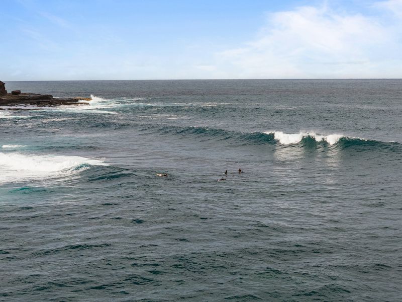 Your gateway to ocean adventures