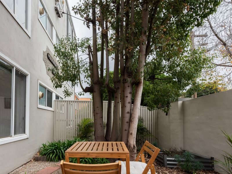 Quiet courtyard shaded by established trees.