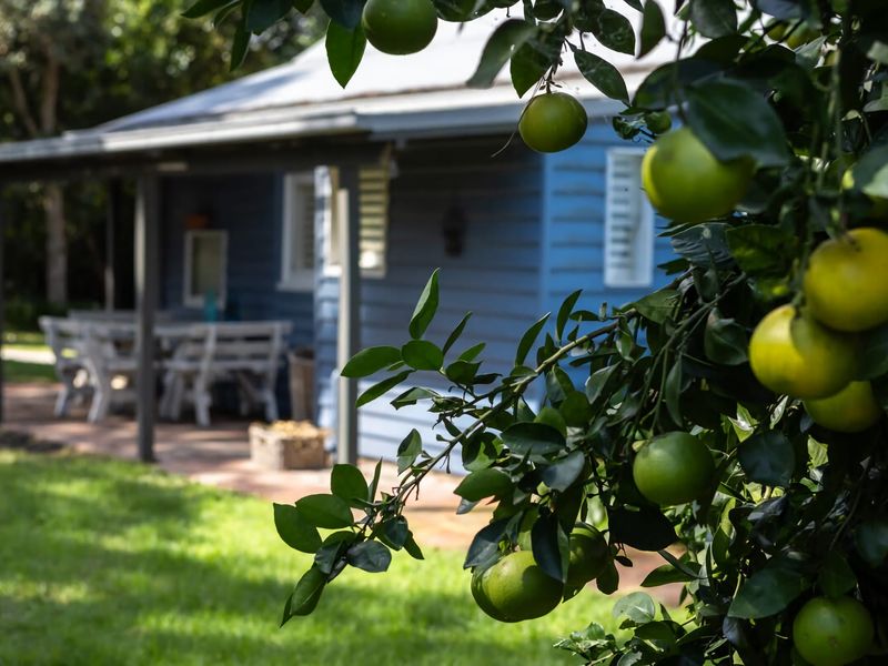 Meroo Meadow Magic Charming Cottage Retreat