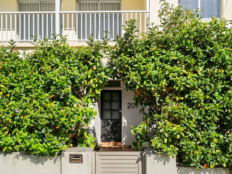 Secure entrance surrounded by established gardens.