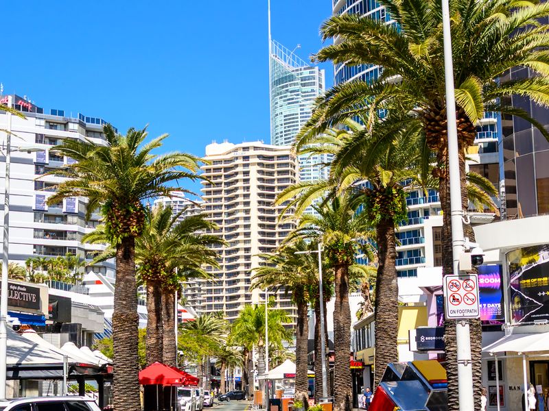 Palm-lined streets and high-rise views nearby