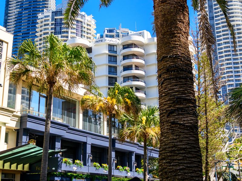 Tropical cityscape with towering palms and apartments