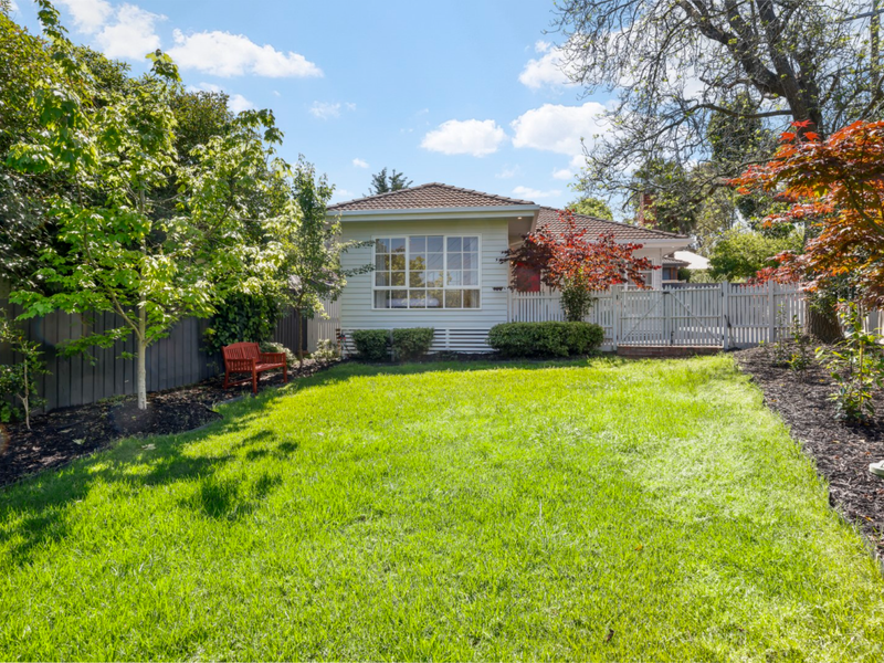 Spacious, lush green backyard surrounded by trees.