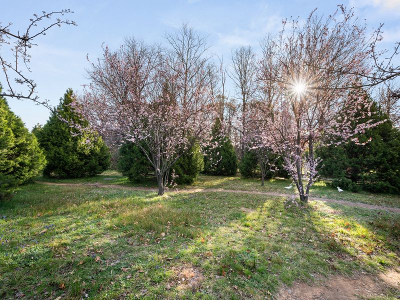 Enjoy the established trees and open parkland surrounding Turner.