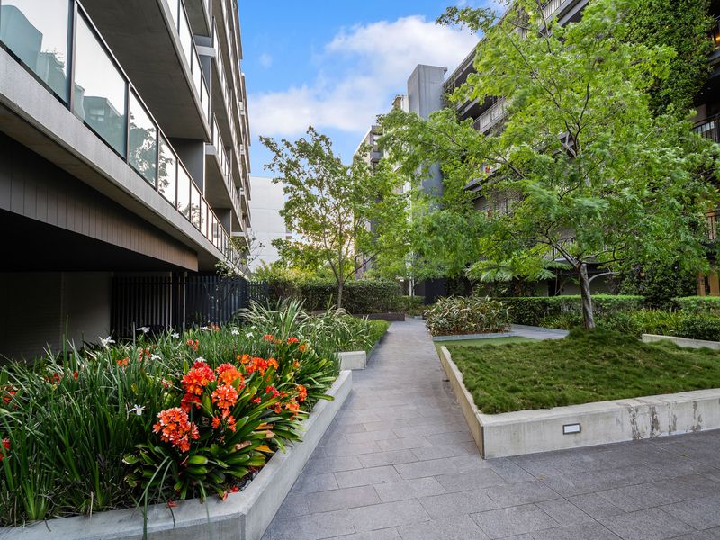 Exterior landscaped pathway winding through vibrant greenery and contemporary residential architecture.