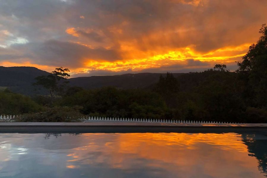 Birdsong, Kangaroo Valley
