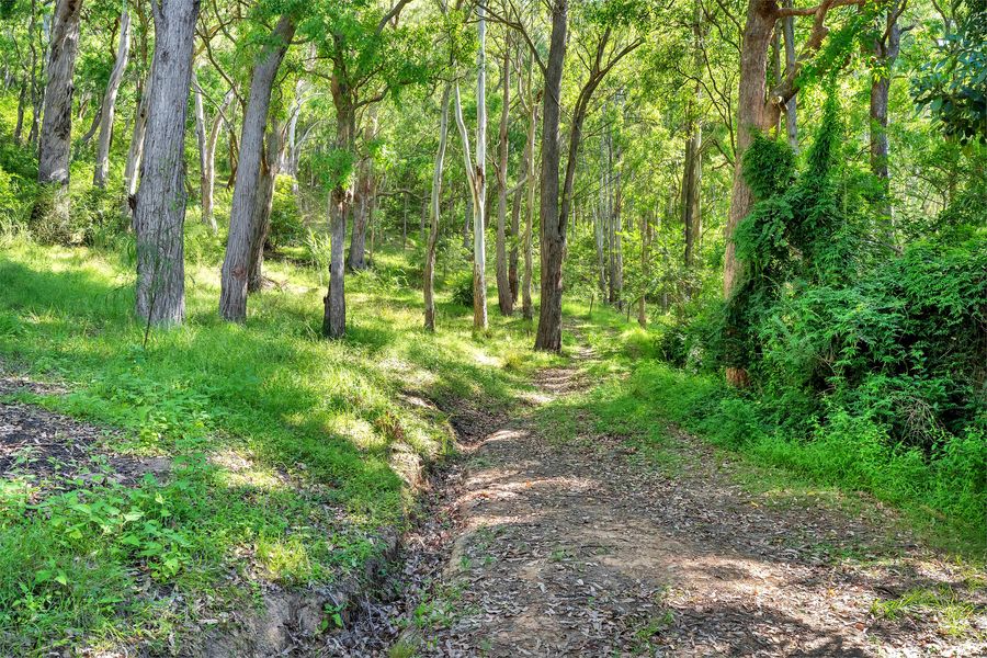 Kooyong, Kangaroo Valley