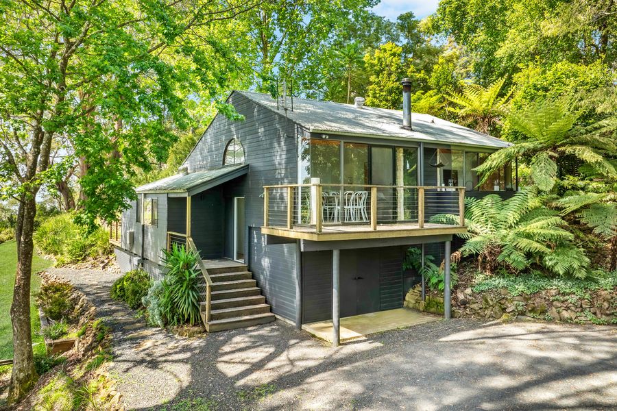 Ribbonwood, Kangaroo Valley