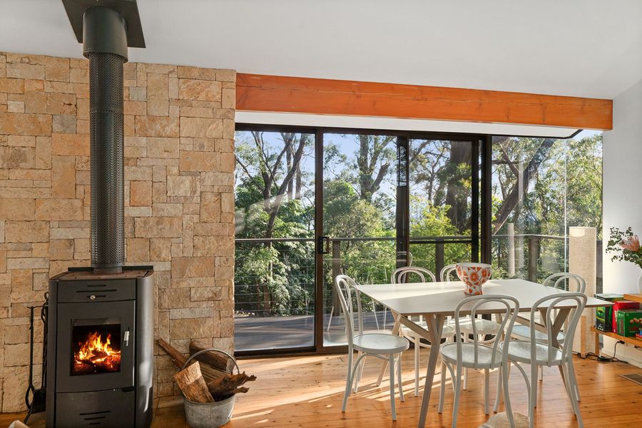 Ribbonwood, Kangaroo Valley