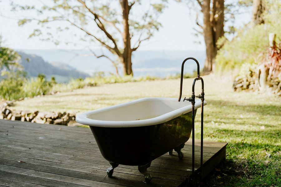 Ribbonwood, Kangaroo Valley