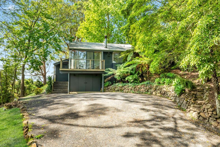 Ribbonwood, Kangaroo Valley