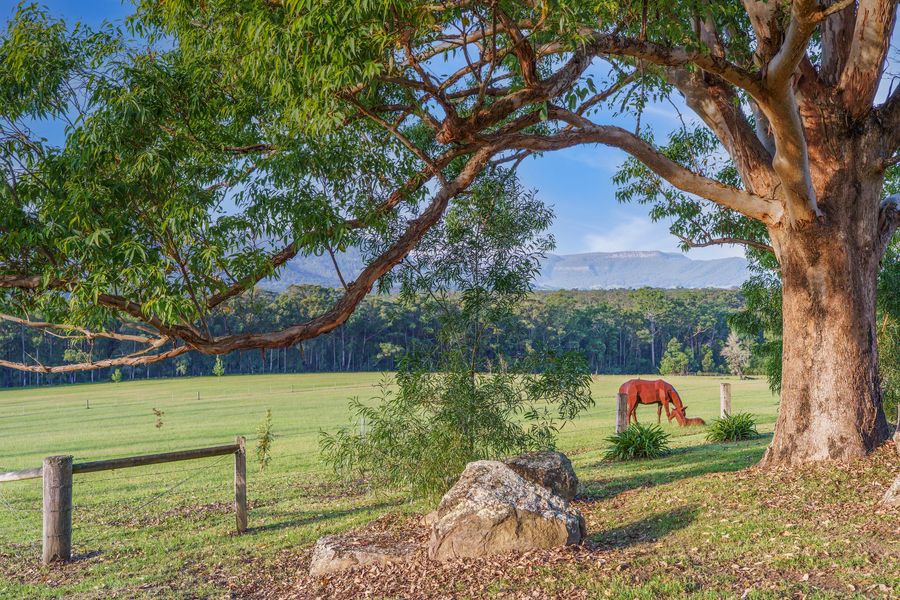 Cally Mill Farm, Kangaroo Valley