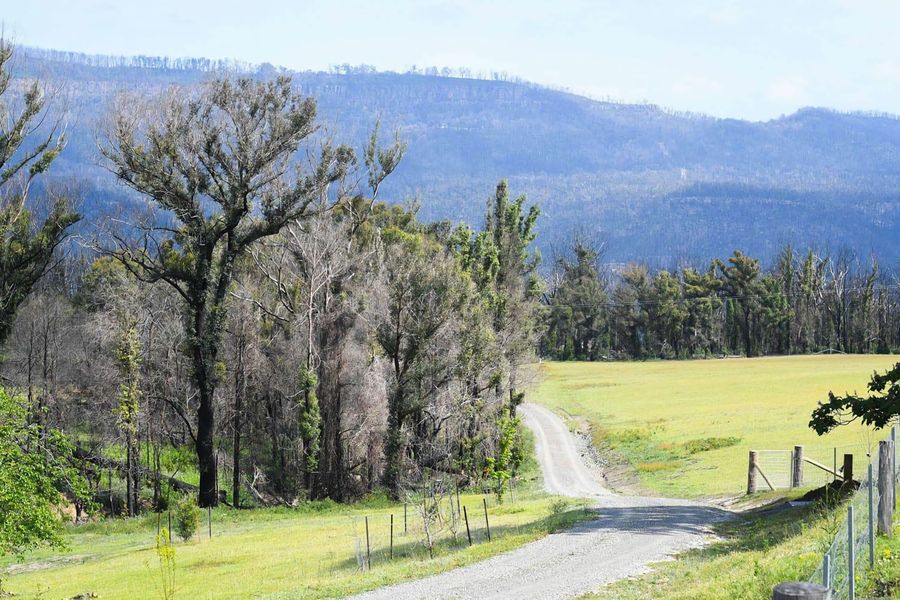 Moosewood House, Kangaroo Valley