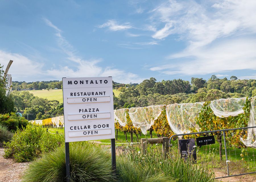 Walk to vineyards and adventure maze