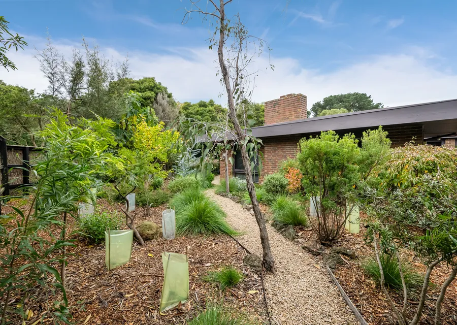 Native Gardens