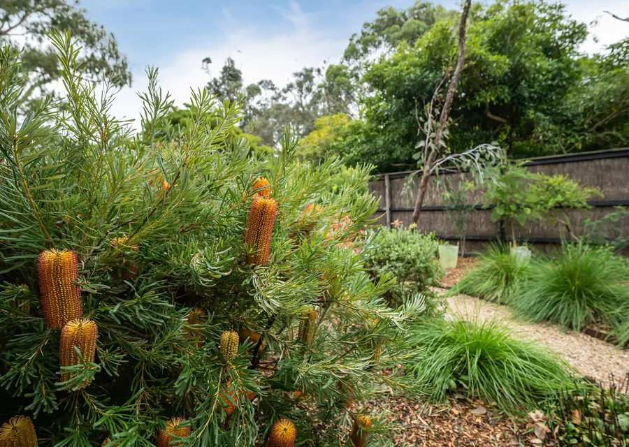 Native Gardens