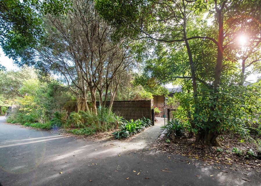 Sadie Somers Mid Century Shack