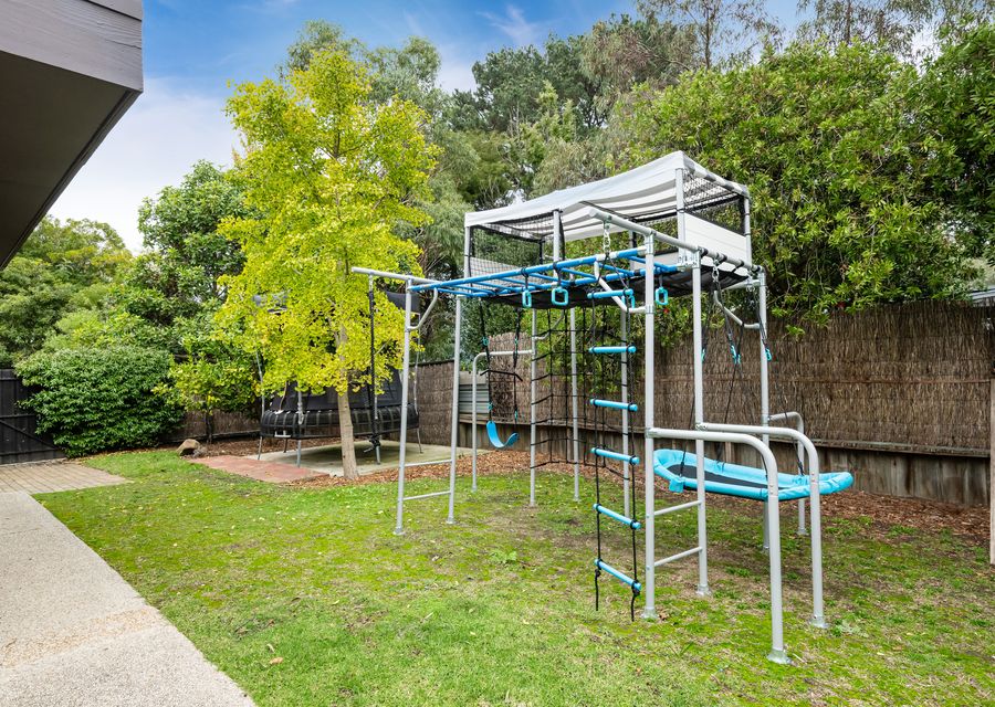 Monkey Bars and Swings for the Kids
