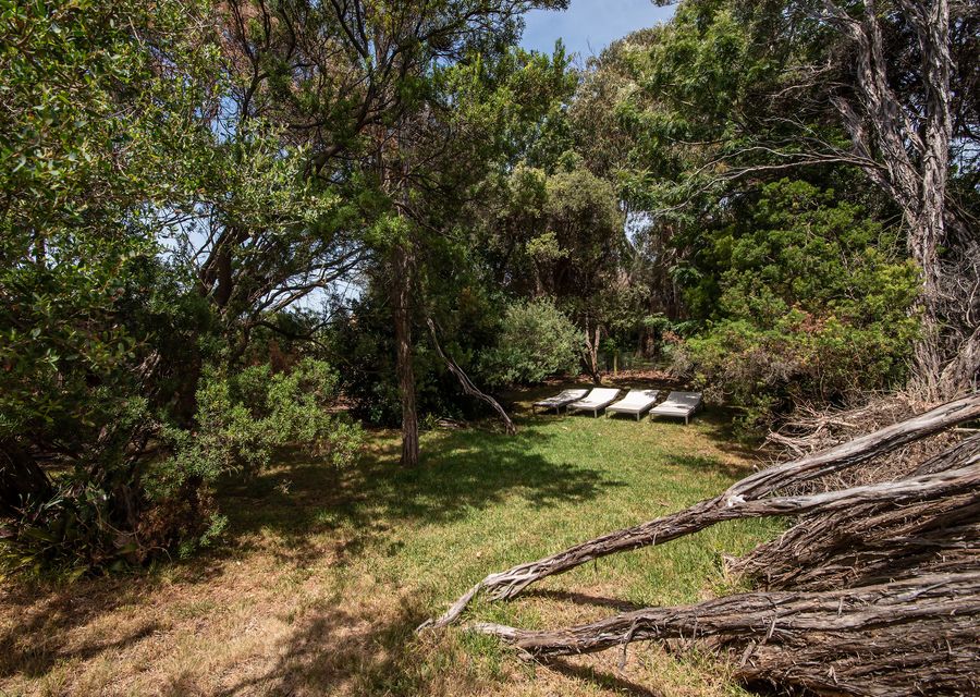 Enjoy a different view of our outdoor space.