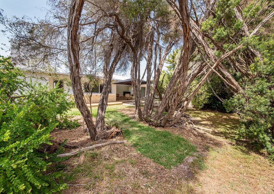 Welcoming lush greenery and tall trees around the house.