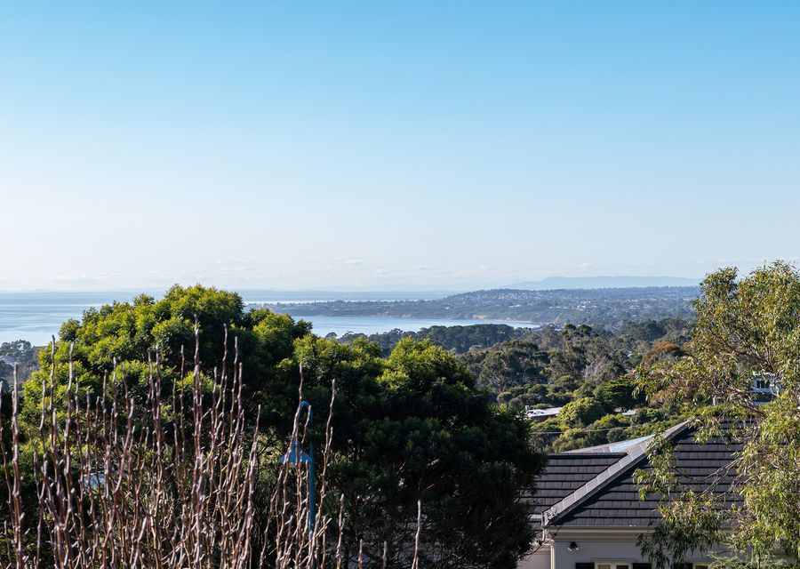Luscious greenery view outdoors.
